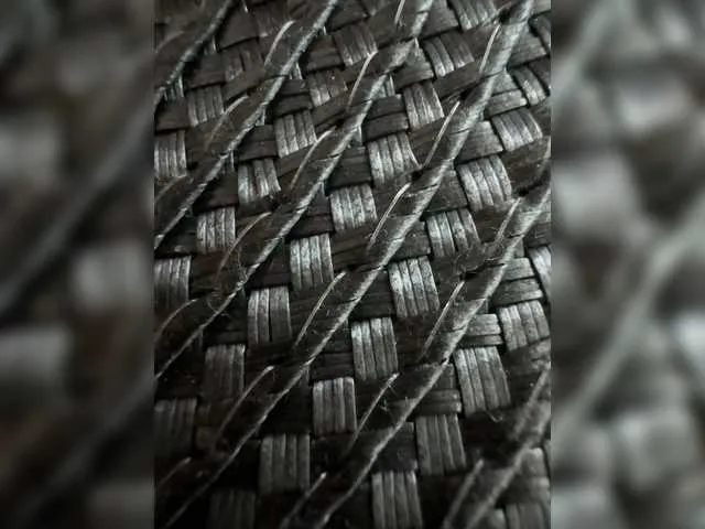 Baby-Mariposa Image 10