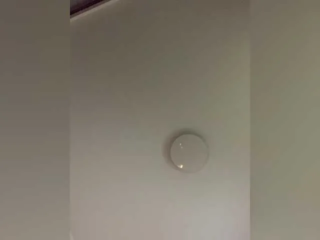 OriginalHOOLi Image 17