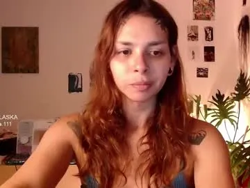 golden_alaska Image 5