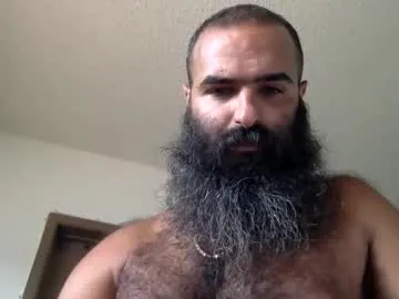 woof_wolf37 Image 10