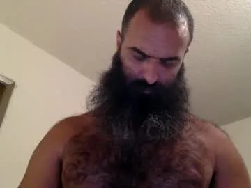 woof_wolf37 Image 11