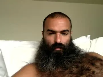 woof_wolf37 Image 12