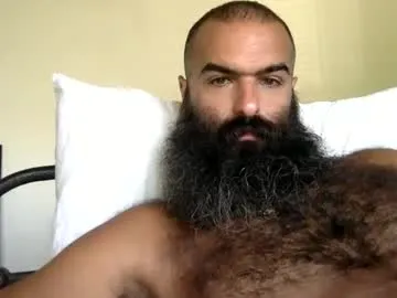 woof_wolf37 Image 13