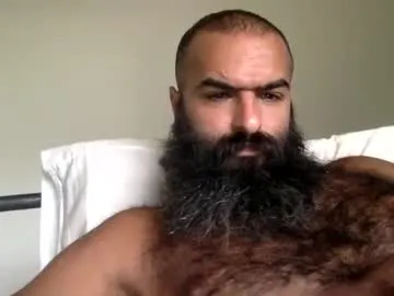 woof_wolf37 Image 18