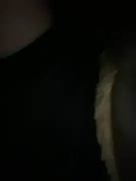 ave-delight Image 11