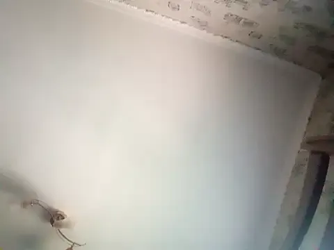 Lauren_Amabel Image 2