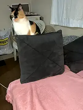 Olgundolgun33 Image 2