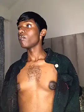 Trans_fairy Image 18